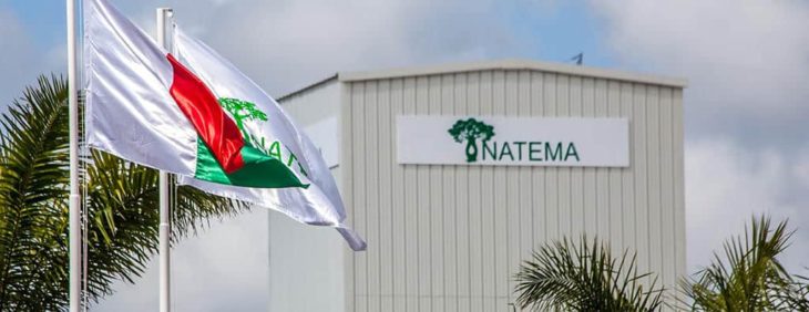 Eugénol à Madagascar Natema usine