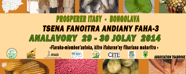 Foires Madagascar Fanoitra