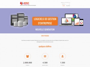 Atout Persona, intégrateur de logiciel de gestion d'entreprise