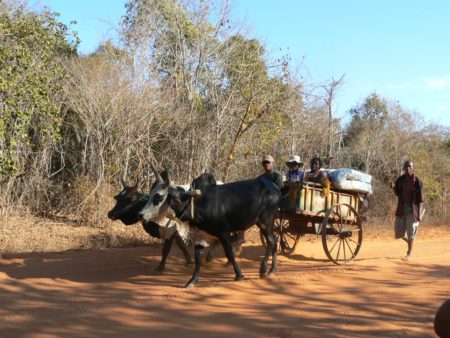 Aventour Madagascar, Ifaty