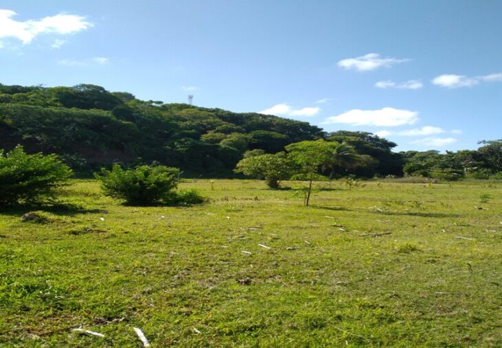 Terrain en vente à Sainte Marie