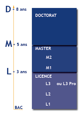 Schéma des études LMD adopté par le CNTMAD