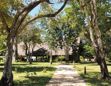 eden lodge - sable et végetation 
