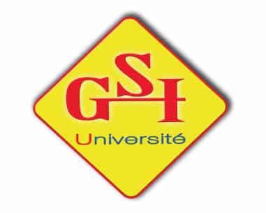 GSI Madagascar