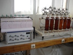 Test des vertus pharmaceutiques des plantes