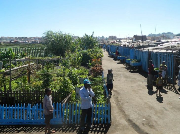 IMV environnement Tana