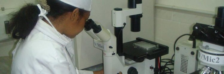 Recherche à l'IMVAVET