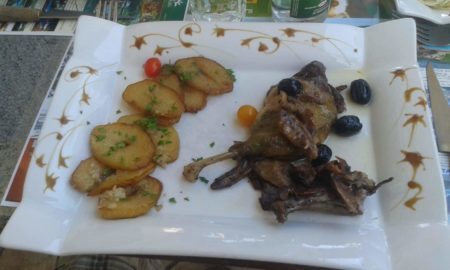 La Rotonde canard