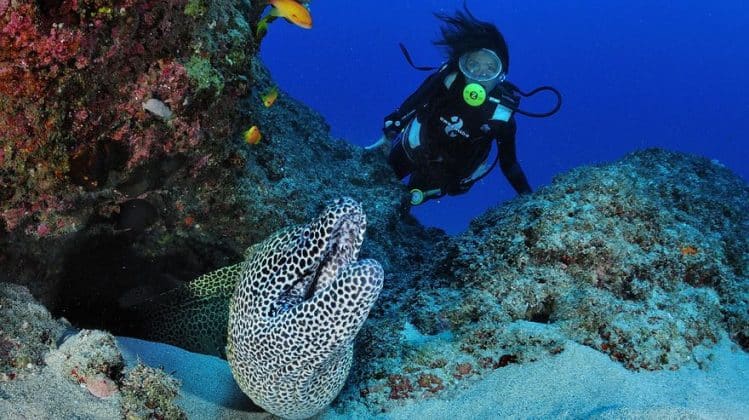 Plongée sous-marine Madascaph