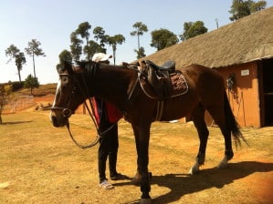 Équitation au Marlix Country Club