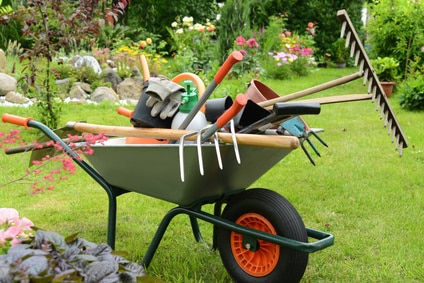 Mr Bricolage, jardinage