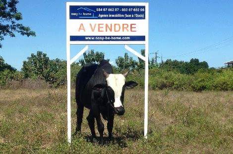 Terrain à vendre par Nosy Be Home