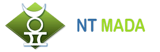 Logo de NT Mada