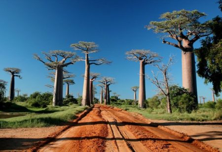 Rivo Tours, Morondava
