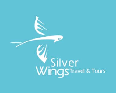 Silver Wings