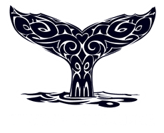 Ulysse Explorer
