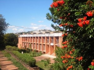 Université d'Antananarivo, Bibliothèque 