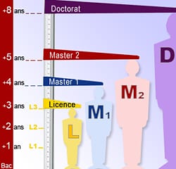 Université d'Antananarivo, LMD