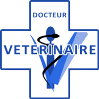 Vetcare, clinique vétérinaire