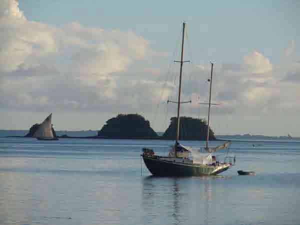 Vingila